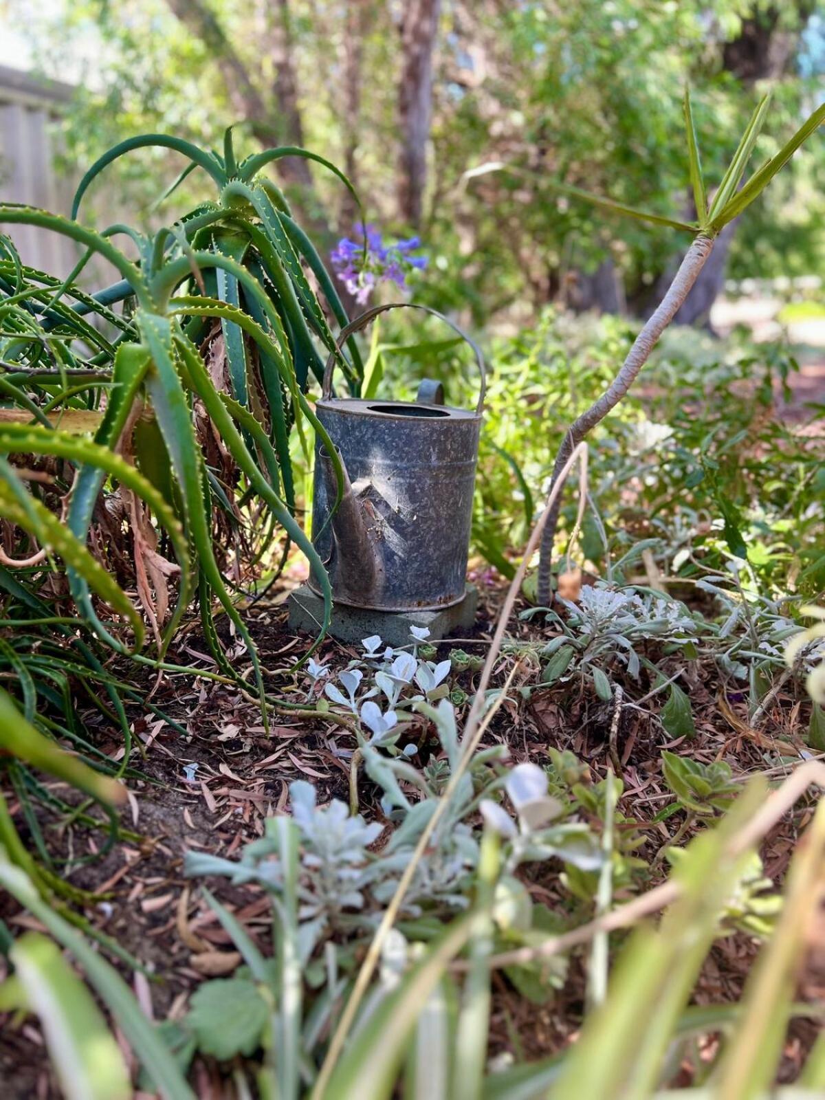 דירות דנסבורו Acacia Retreat מראה חיצוני תמונה